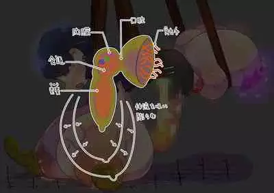 futanari majo no o yomesan sagashi 2 onaho yōsei no gyakushū