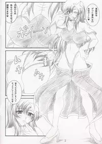 (C68) [INSERT (KEN)] Gentei Bon (Kidou Senshi Gundam SEED DESTINY)