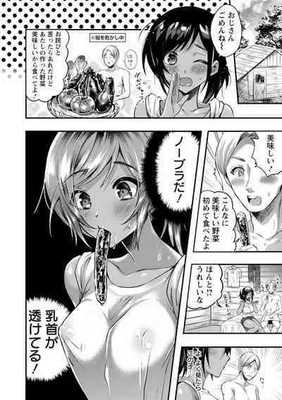 Himitsu no Meshibe