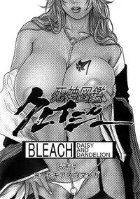 (C73) [H&K (Kotobuki Kazuki)] Shinigami Zukan Crazy (Bleach, Code Geass)