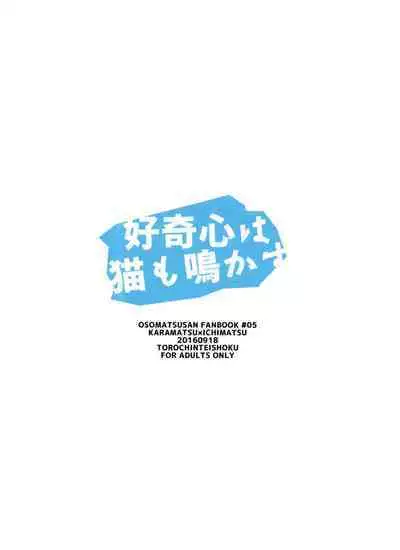 kōkishin wa neko mo naka su