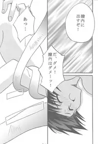 [Amethyst (2Gatsu)] Nounai Kousai (Star Ocean 2)