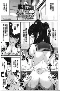 Tadashii Koubi no Susume | 正確的交尾法推薦你