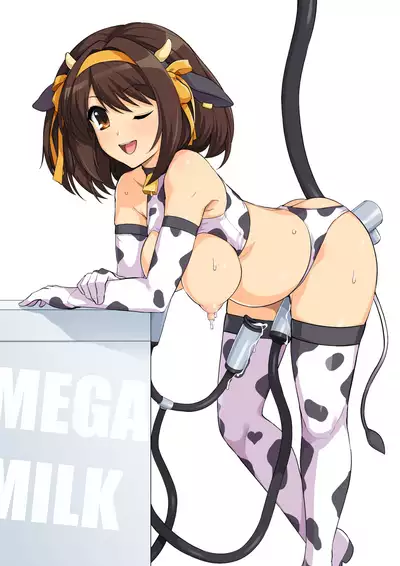 Harucos 12