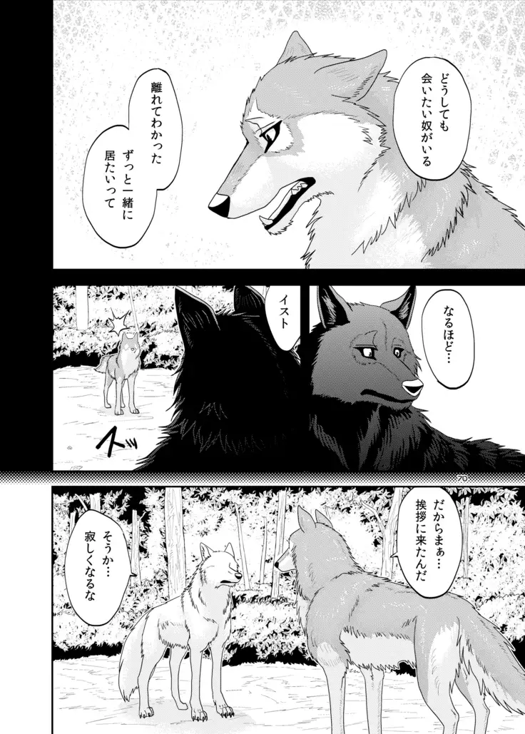 Wolfpack