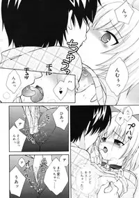 COMIC RiN 2010-12