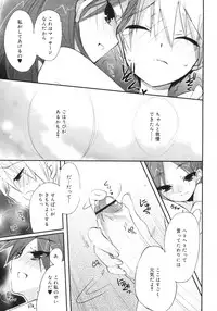 Comic Rin Vol. 29 [2007-05]