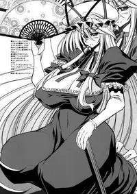 (C81) [Kikyakudou (Karateka Value)] Babar Zone (Touhou Project)