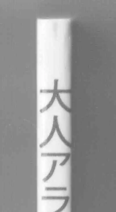 [Monkees (YoungJiJii)] Otona Arale Hon (Dr. Slump)