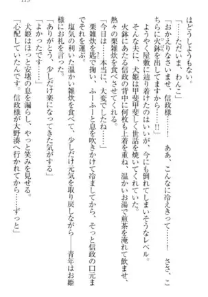 戦国犬姫！