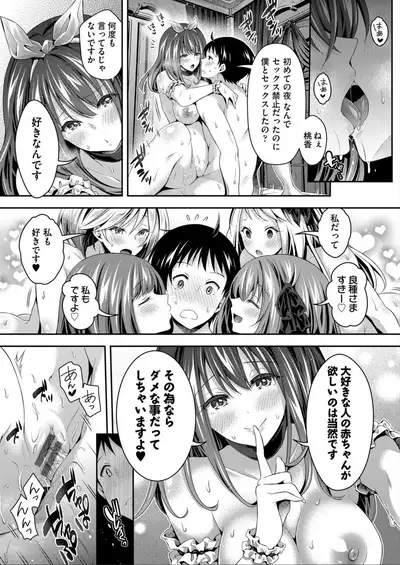 Harem Maid No Damedame Ecchi