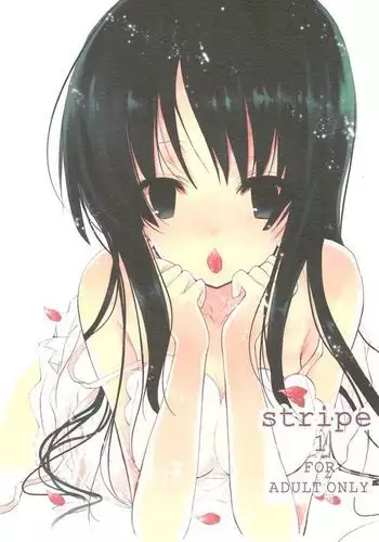 stripe1