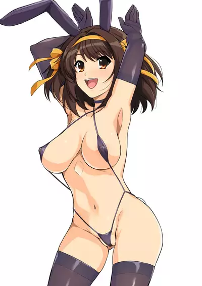 Harucos 12