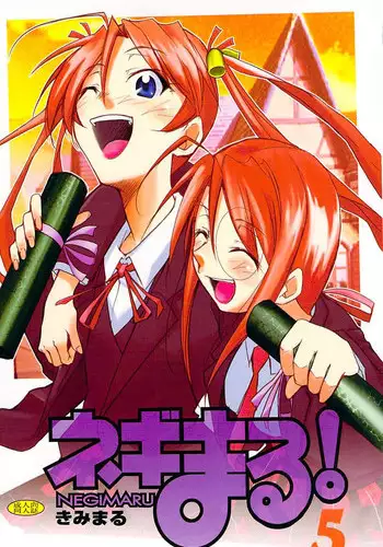 (C66) [Studio Kimigabuchi (Kimimaru)] Negimaru! 2 (Mahou Sensei Negima!)