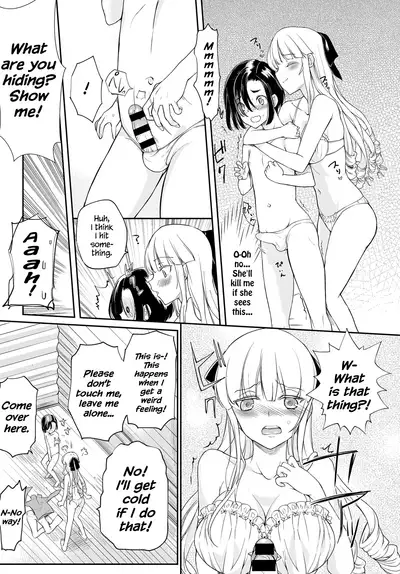 Seitokaichou no Himitsu