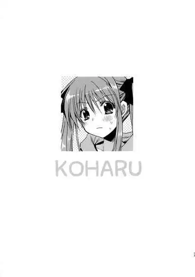 Onii-chan o Suki nano wa Watashi dake nandakara ne