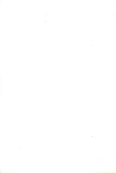 Okosama Daimyoujin 2