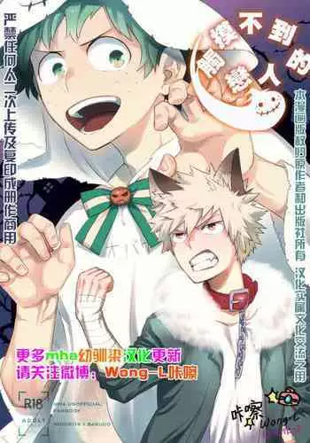 (SPARK13) [Bakuchi Jinsei SP (Satsuki Fumi)] Goshimei desu! (Boku no Hero Academia)