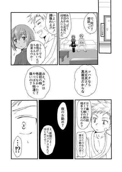 Ikoku no Ryourinin