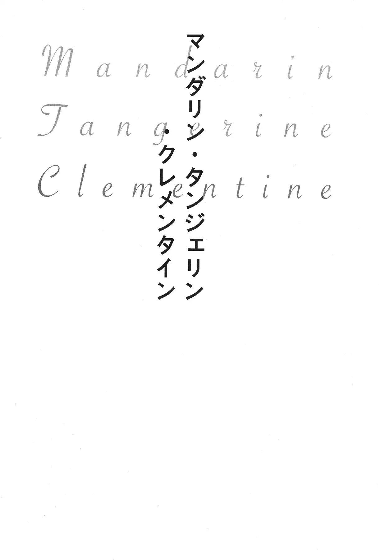 Manderin Tangerine Clementine