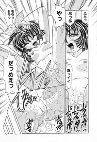 [Anthology] Pure Petit Vol. 1