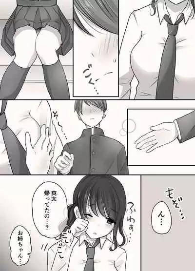 Ane to Otouto no Ecchi na Routine