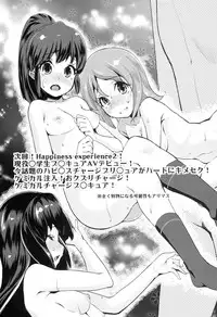 (C86) [Condiment wa Hachibunme (Maeshima Ryou)] Happiness experience (HappinessCharge Precure!)