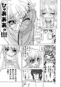(CR34) [Akai Suzume (Suzaku)] Koisurumadousyo (Demonbane)