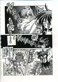 [Appleton] Fairy Paradise