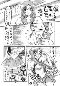 [HEART WORK (CARCASS YAMAGATA)] r**k the vote vol,1 1997