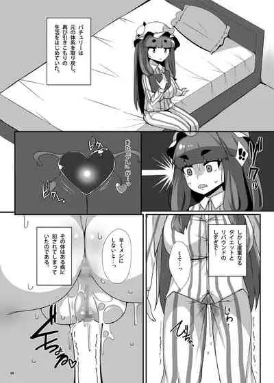 Patche Houkai