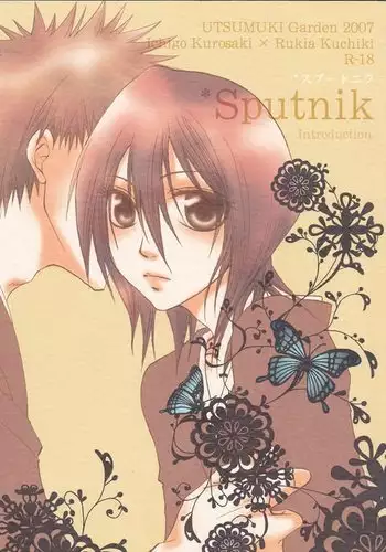Sputnik Introduction