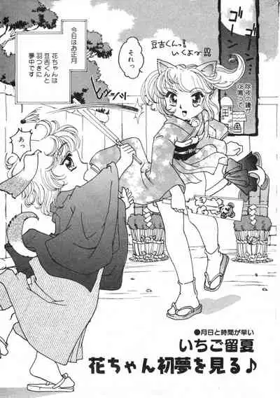COMIC Minimon Vol. 11