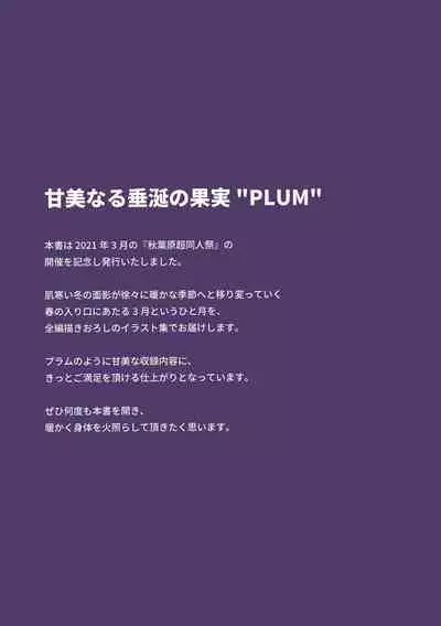 Akihabara Choudoujinsai Kaisaikinenshi Melonbooks Girls Collection Plum