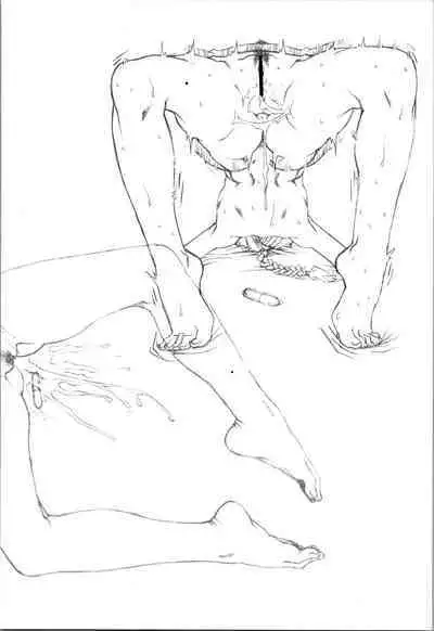 Saotome Ranma no Seitai Preview Ver2