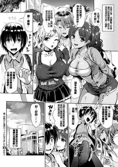 Junjou Bitch Harem - Innocent Bitch Harem