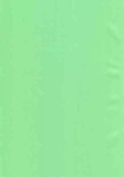 [COCAin (Hino)] Zenryoku Pose (Pokémon Sun and Moon) [English] [QazzyzzaQ]