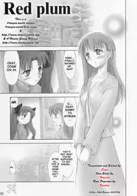 [Shimoyakedou (Ouma Tokiichi)] Red Plum (Fate/stay night) [English] [SaHa]