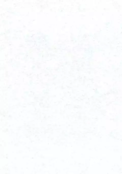 Futari Nara Ne