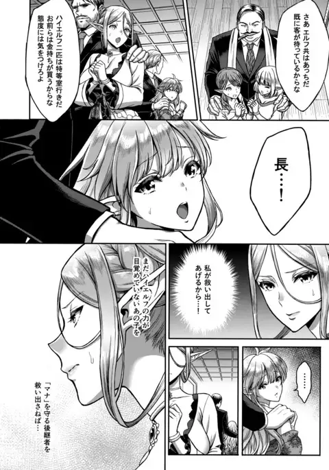 Koukon no Shou Elf