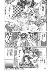 [Nekojima Lei] Kyonyuu ni Mukanai Shokugyou - not Suited be Occupation