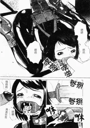 Mesu Inu Fukujuu