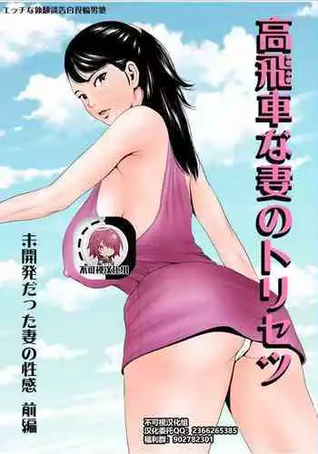 Takabisha Kyonyuu Ojou-sama to Himitsu no Ecchi | 與盛氣淩人的巨乳大小姐秘密做愛