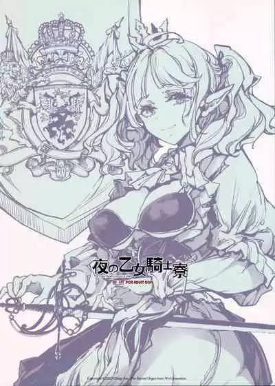 The Virgin Knights secrets at Night