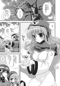 (C75) [Samoyedest (Bankoku Ayuya)] Kando 255 (Dragon Quest II)