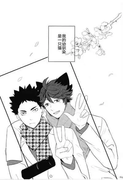 Iwa-chan no Neko ni Naritai | 我想成为小岩的猫