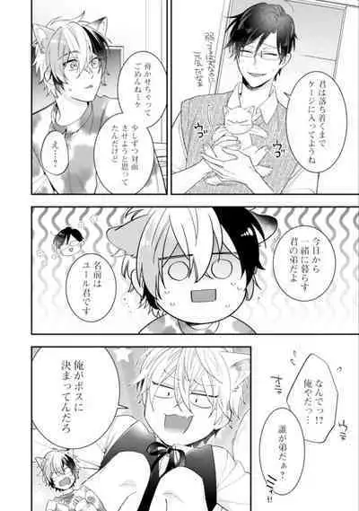 High Spec Danshi ni Natsukareteimasu