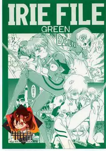 (C53) [Rat Tail (Irie Yamazaki)] IRIE FILE RED (Various)