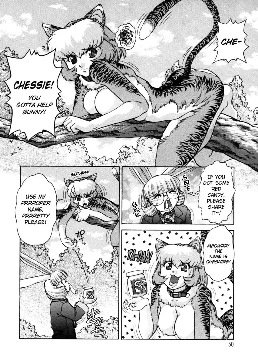ALICE -First-