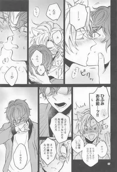 H x D COLLECTION